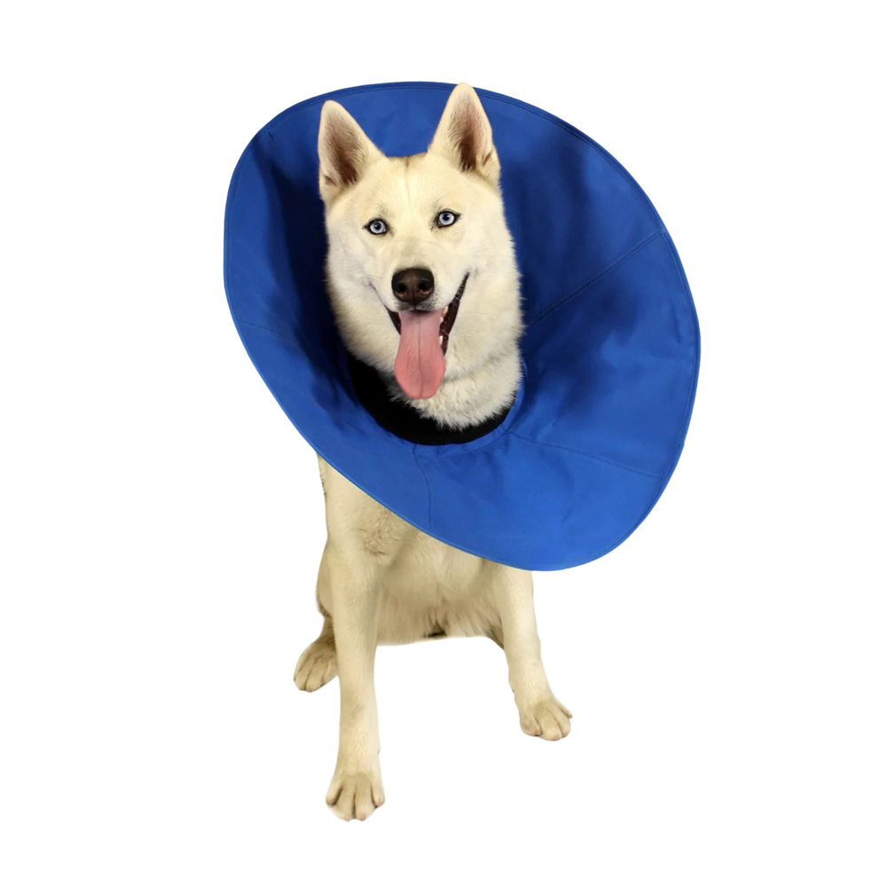 EZ Soft Recovery Collar with Flexstay Technology – Wound Protection & Post-Surgery