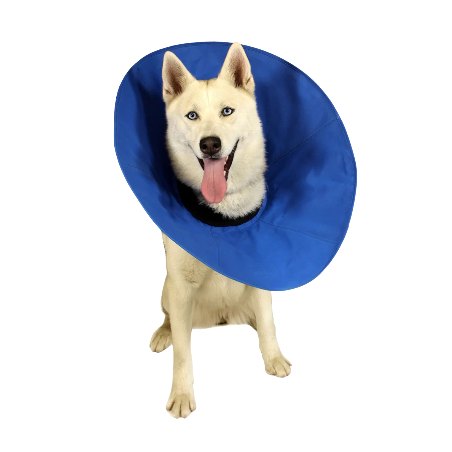 EZ Soft Recovery Collar with Flexstay Technology – Wound Protection & Post-Surgery