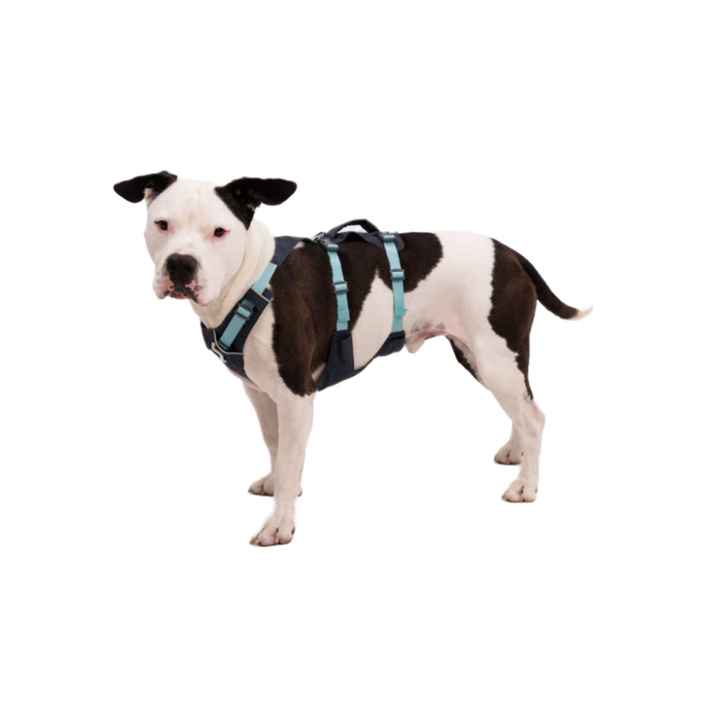 Flagline Lightweight Dog Harness with Handle & 3 Clip Points packaging – Post-Surgery Safe