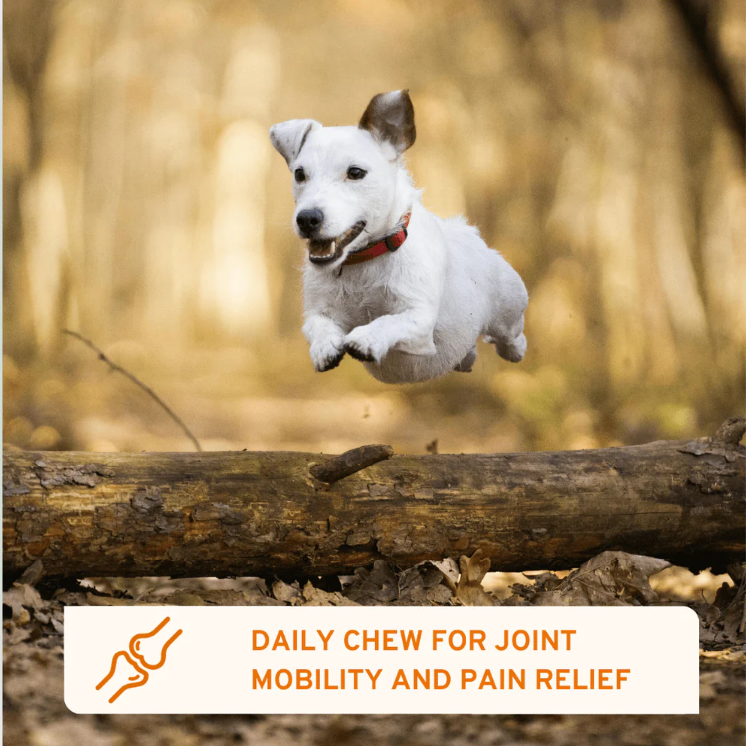 Flexi Protect Joint Support Soft Chews for Dogs packaging – Reduces Stiffness