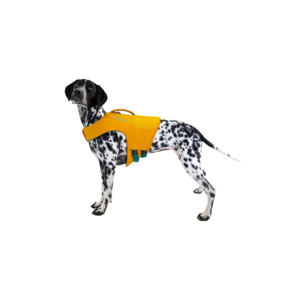 Float Coat Dog Life Jacket for Water Safety & Hydrotherapy label detail – Quick Drying