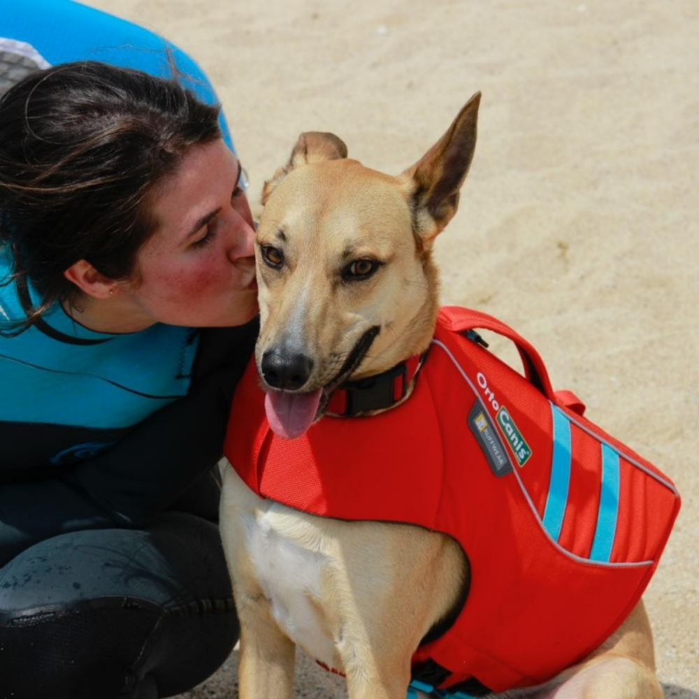 Float Coat Dog Life Jacket for Water Safety & Hydrotherapy usage view – Natural Buoyancy