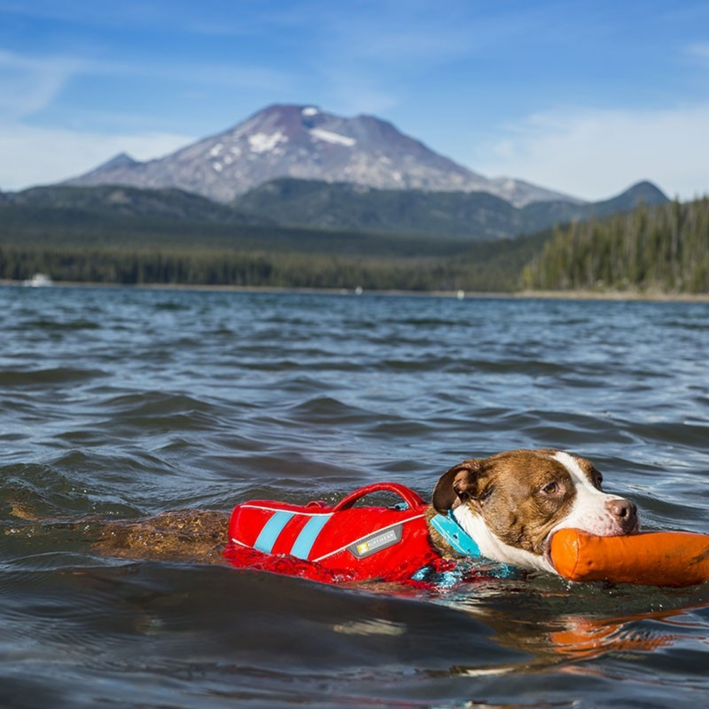 Float Coat Dog Life Jacket for Water Safety & Hydrotherapy label detail – Quick Drying