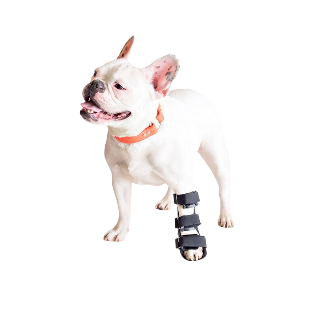Front Leg Splint for Dogs - Fractures & Carpal Injuries product detail – Nerve Recovery