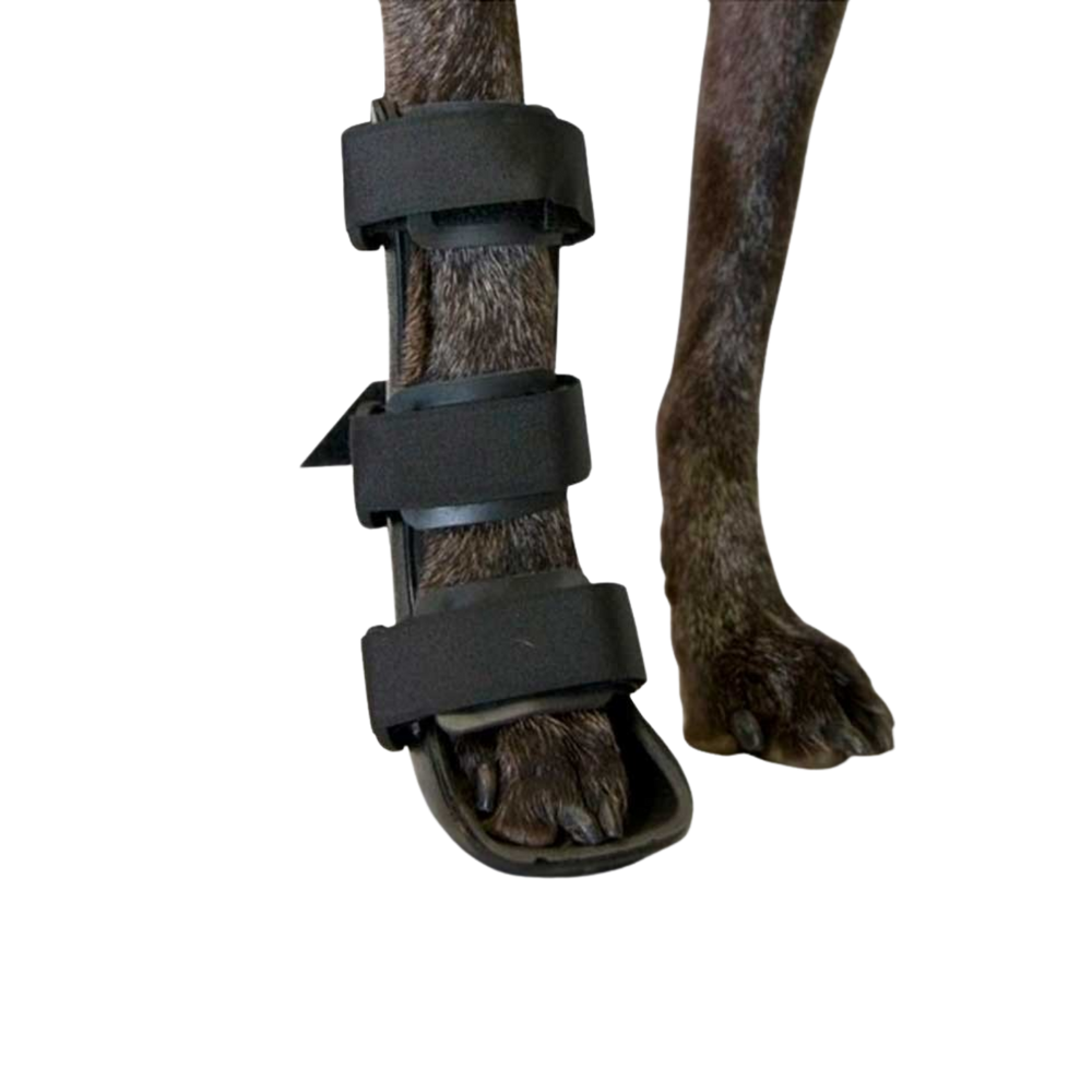 Front Leg Splint for Dogs - Fractures & Carpal Injuries usage view – Custom Fit