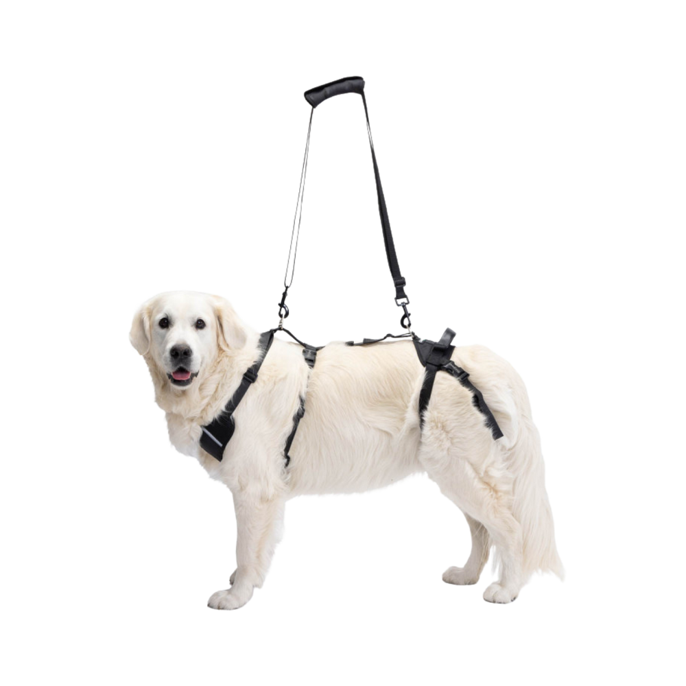 Full Body Support Harness for Dogs - Post-Op & Mobility Aid – Full Body Support & Post-Op Recovery