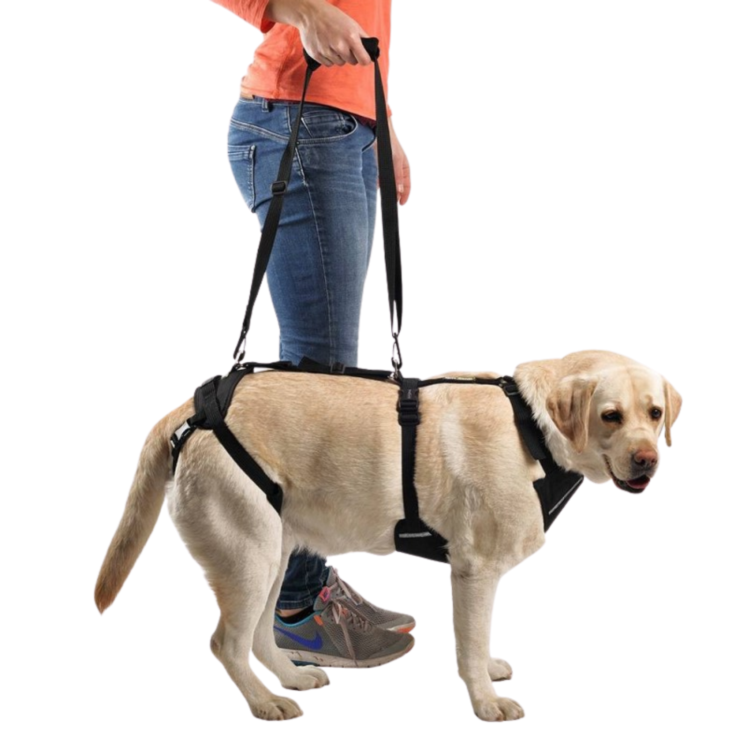 Full Body Support Harness for Dogs - Post-Op & Mobility Aid packaging – Post-Op Recovery