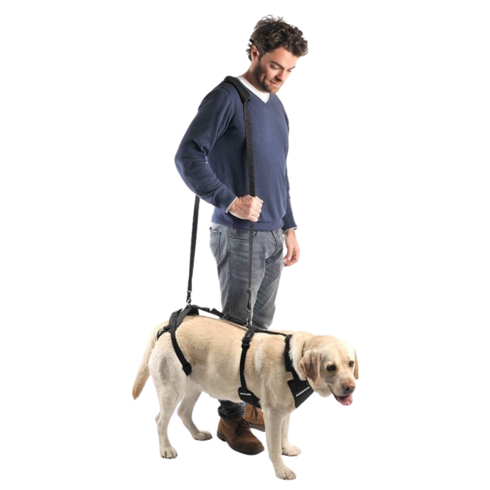 Full Body Support Harness for Dogs - Post-Op & Mobility Aid product detail – Joint Relief