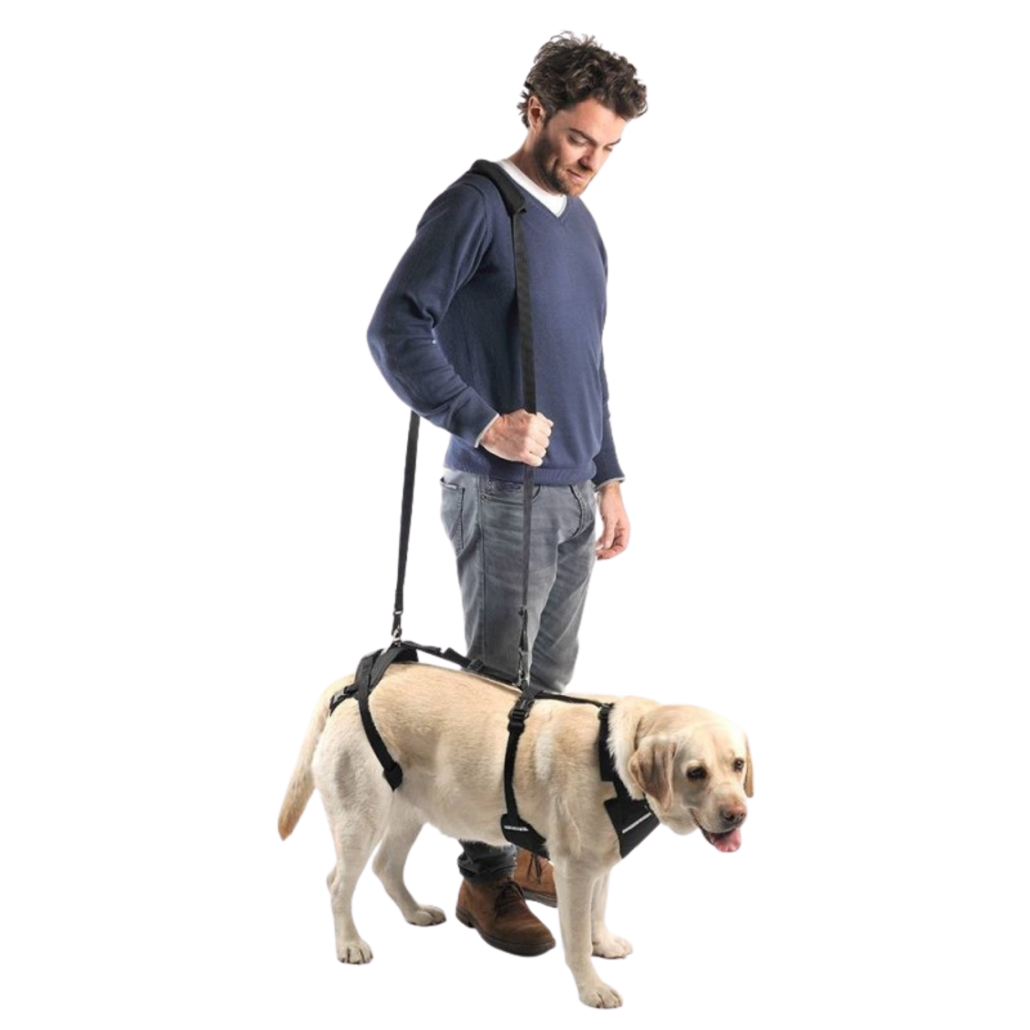 Full Body Support Harness for Dogs - Post-Op & Mobility Aid product detail – Joint Relief