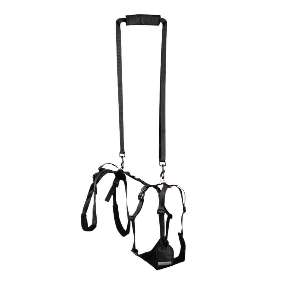 Full Body Support Harness for Dogs - Post-Op & Mobility Aid close-up – Full Body Support