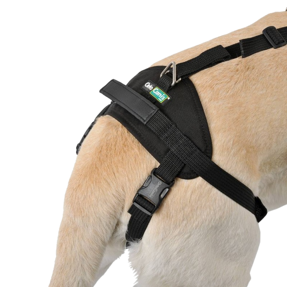 Full Body Support Harness for Dogs - Post-Op & Mobility Aid packaging – Post-Op Recovery