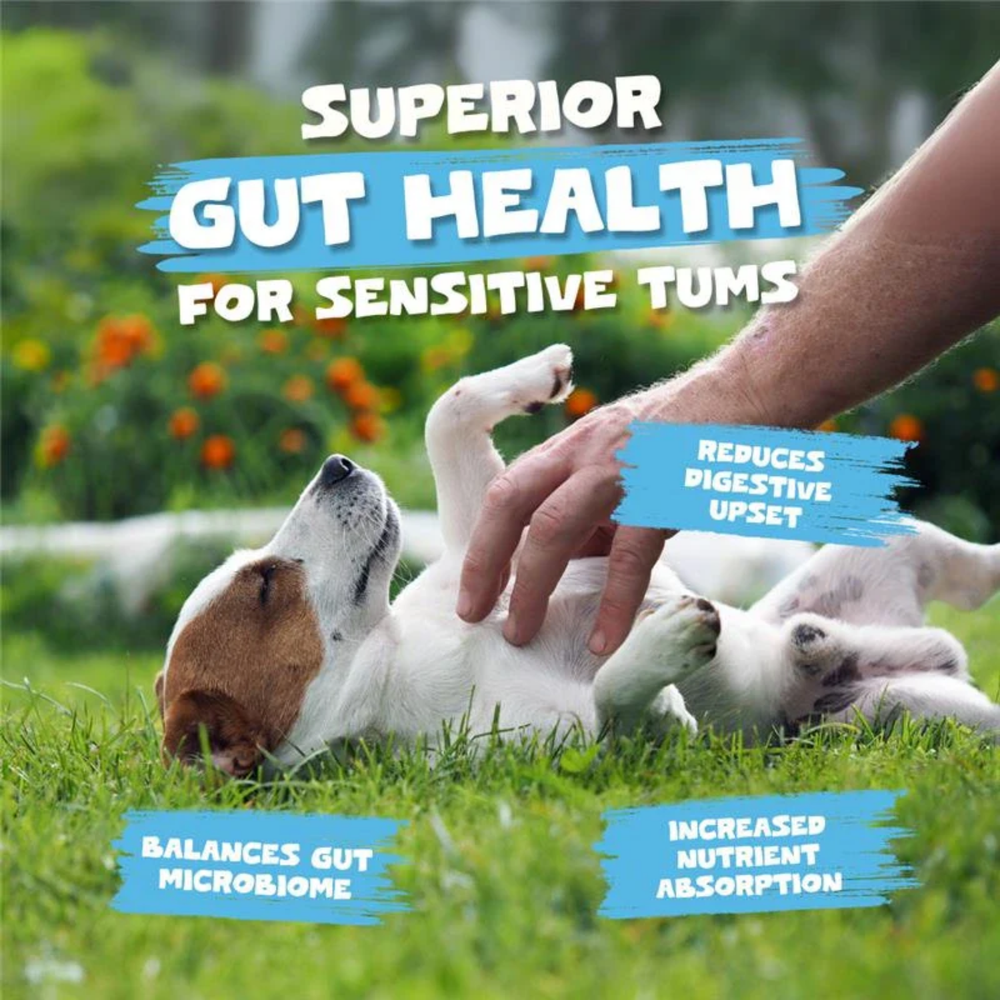 Goats Milk Powder for Dogs & Cats 250g - 100% Natural product detail – Sensitive Stomachs
