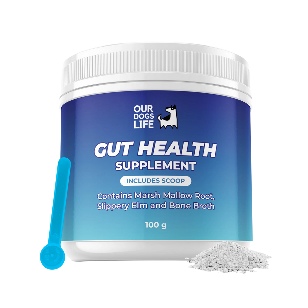 Gut Health Powder Supplement for Dogs - 100g – Gut Support & Reduces Bloating