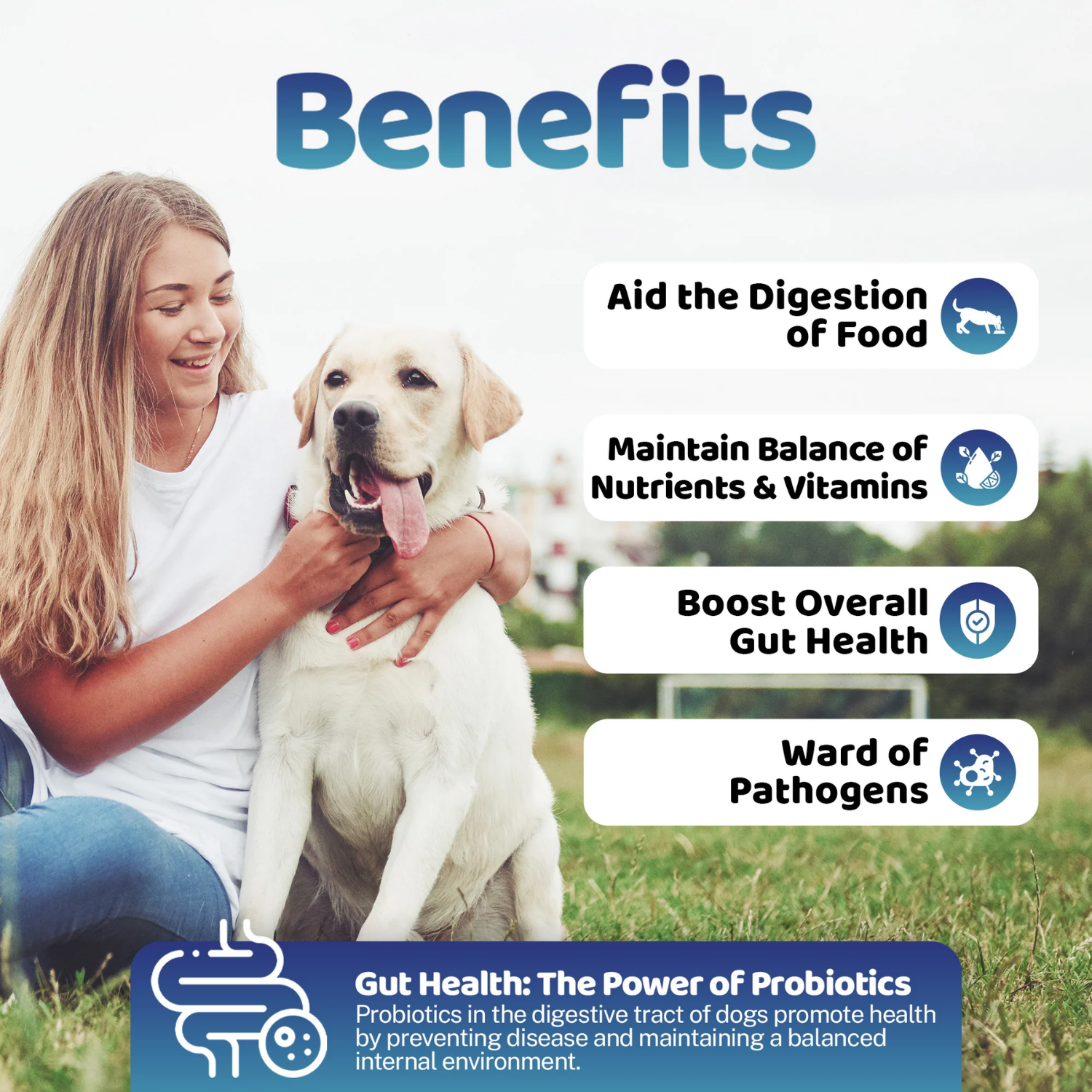 Gut Health Powder Supplement for Dogs - 100g product detail – Eases Diarrhoea