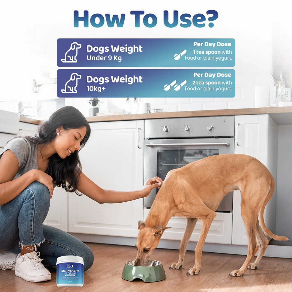 Gut Health Powder Supplement for Dogs - 100g usage view – Natural Ingredients