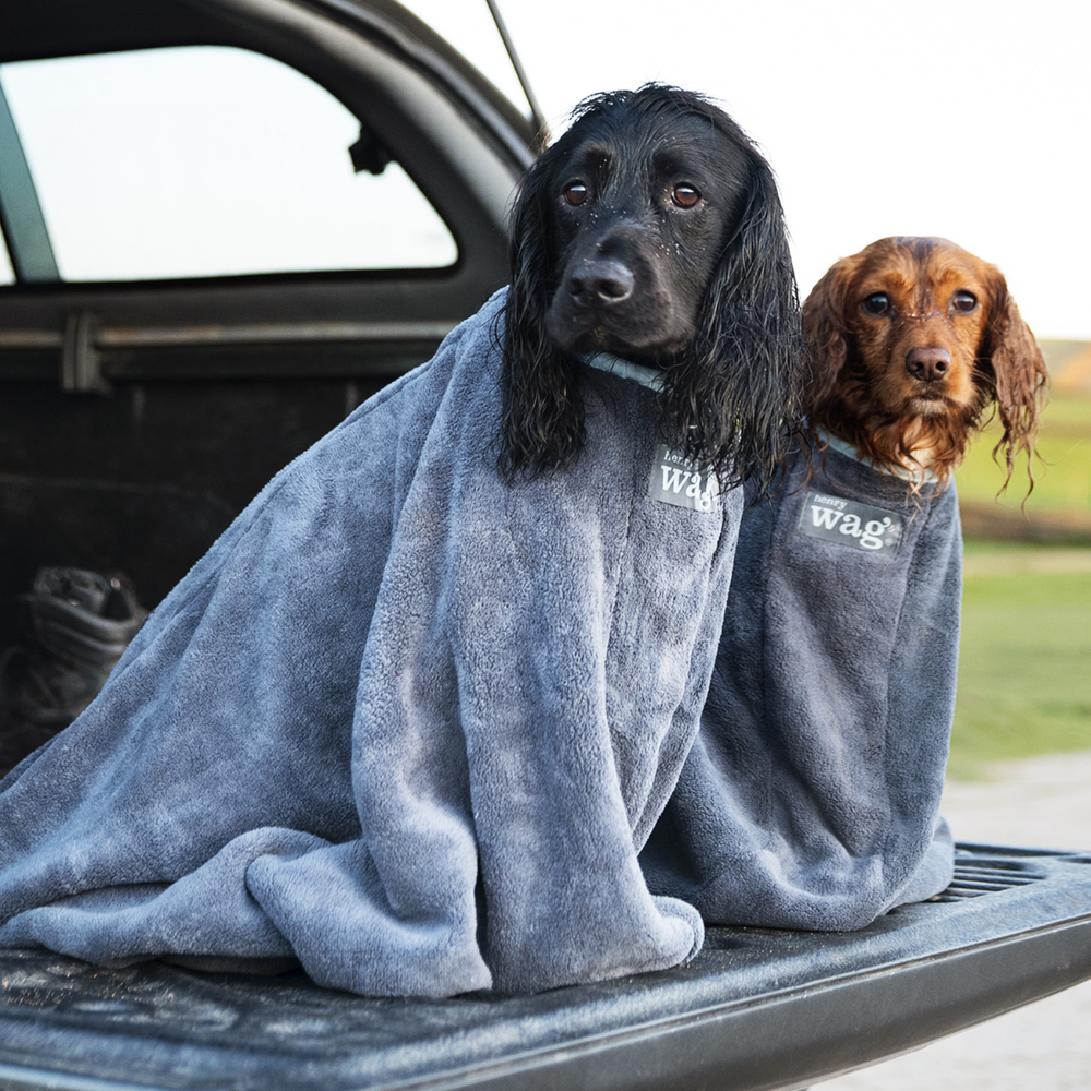 Henry Wag Microfibre Dog Drying Bag packaging – Swim Aftercare