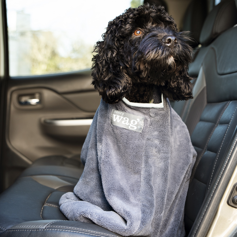Henry Wag Microfibre Dog Drying Bag usage view – Fast Drying