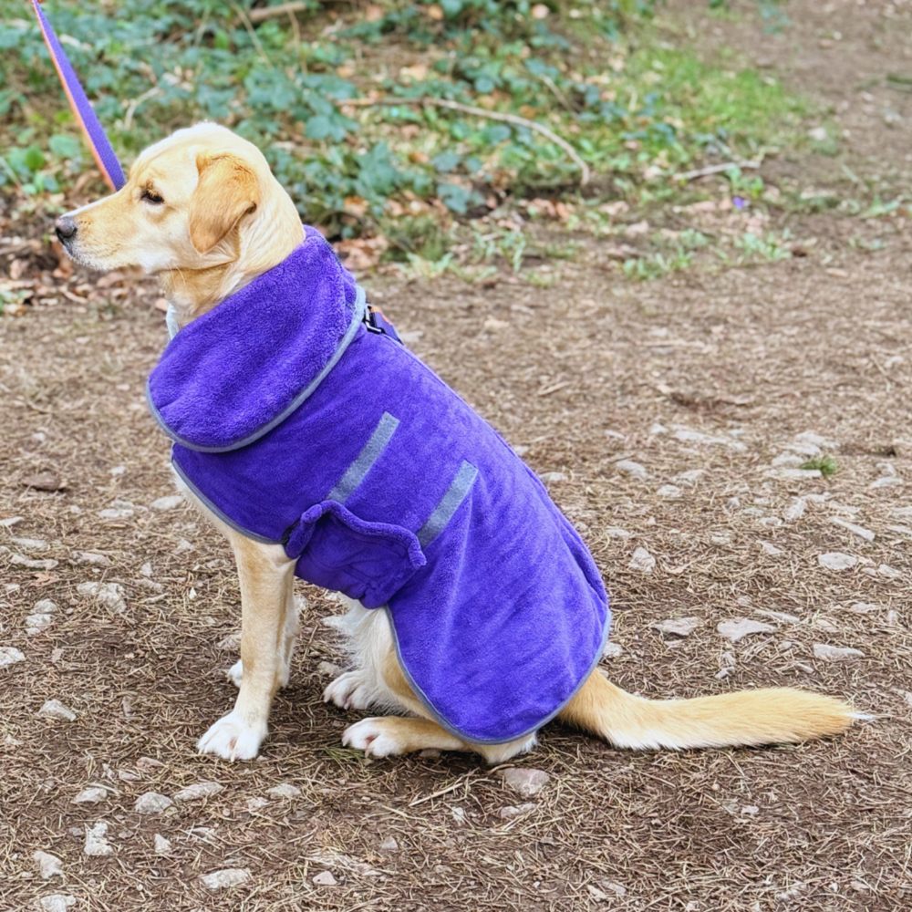 Henry Wag Microfibre Drying Coat packaging – Swim Aftercare