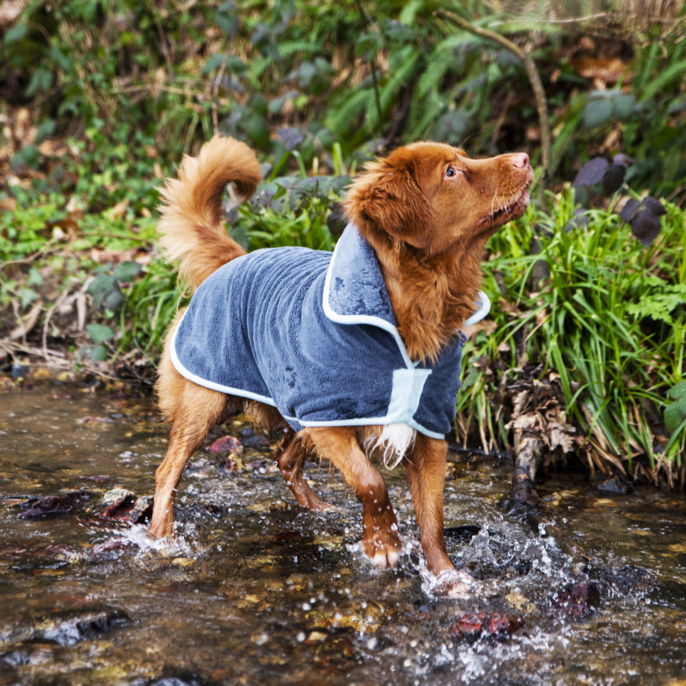 Henry Wag Microfibre Drying Coat usage view – Warmth