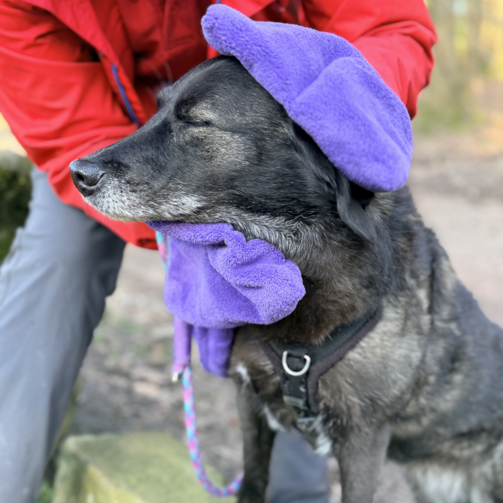 Henry Wag Pet Towel Glove product detail – Paw Cleaning