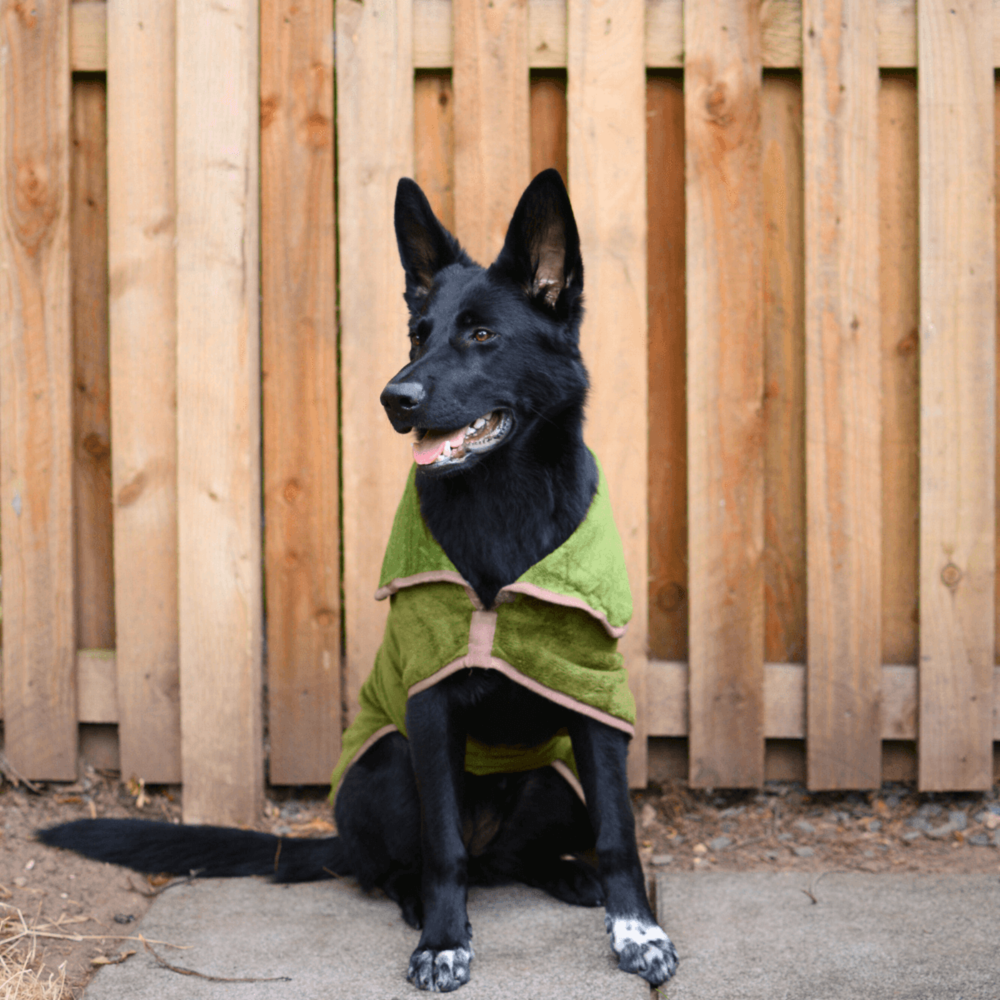 Henry Wag Refresh Drying Coat label detail – Swim Aftercare