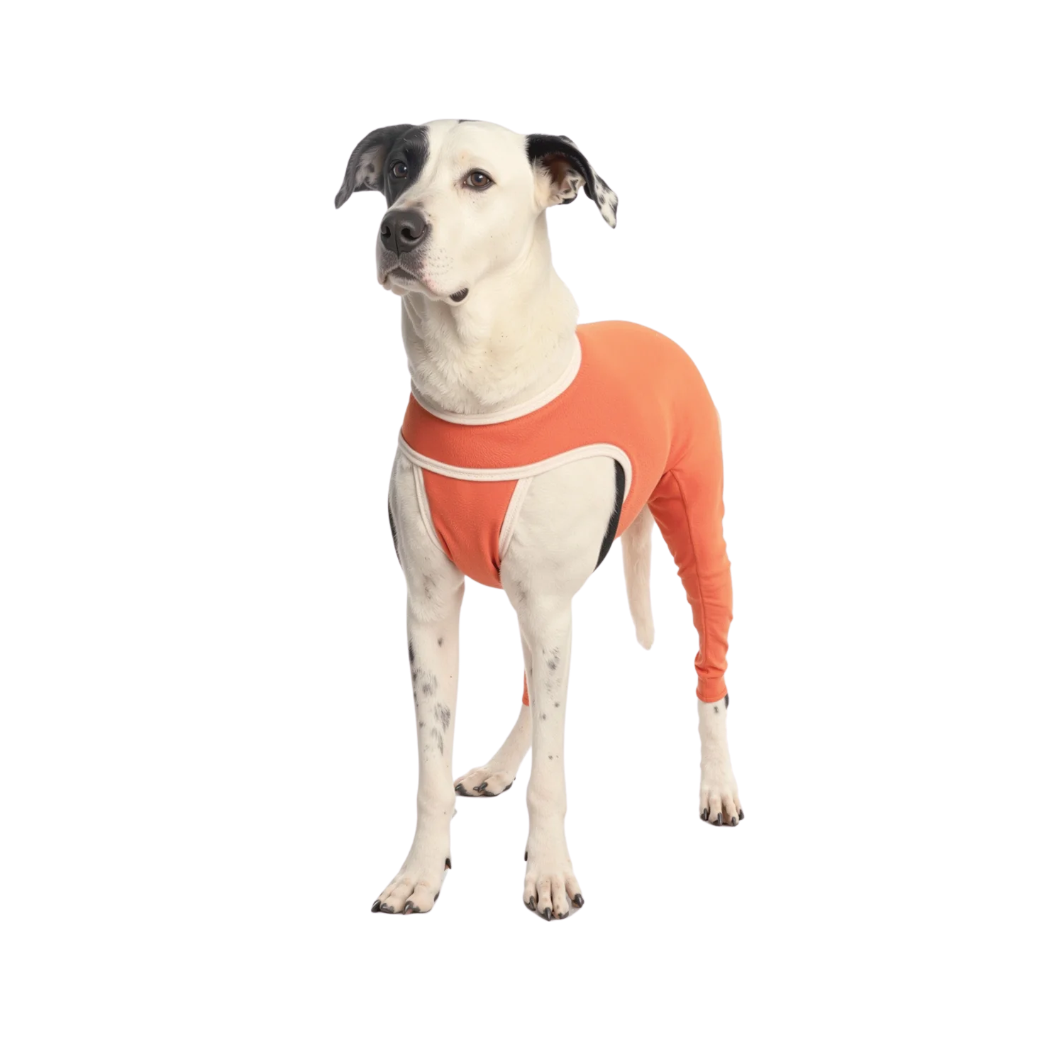 Hind Legs Copper Body Shirt for Post-Op & Wound Care – Wound Protection & Cone Alternative