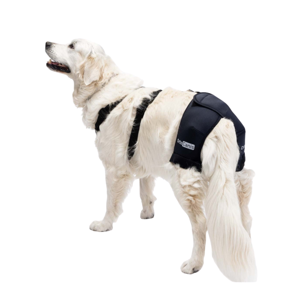 Hip Brace for Dogs with Dysplasia & Arthritis packaging – Pain Relief
