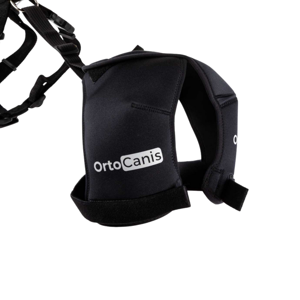 Hip Brace for Dogs with Dysplasia & Arthritis product detail – Joint Stability