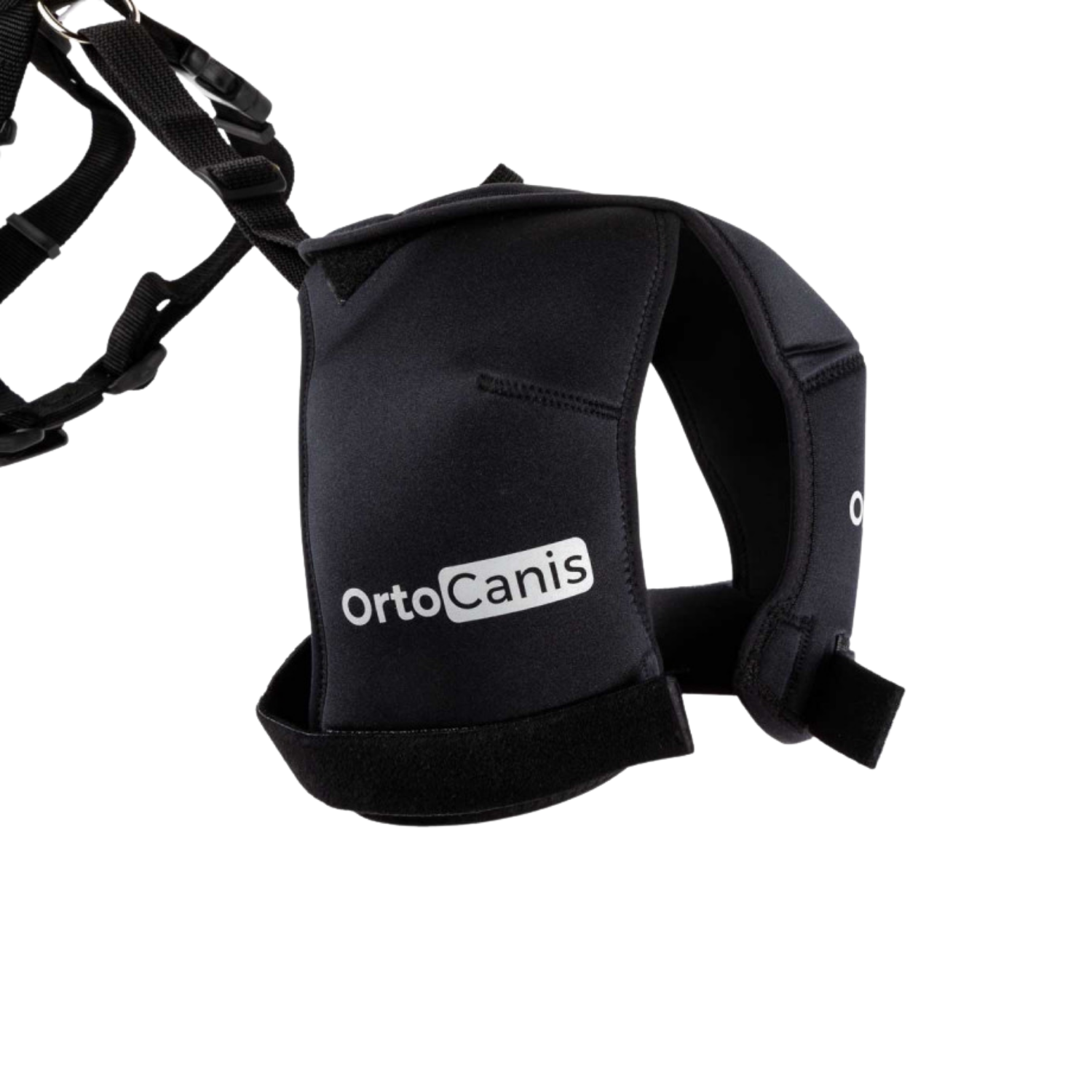 Hip Brace for Dogs with Dysplasia & Arthritis product detail – Joint Stability