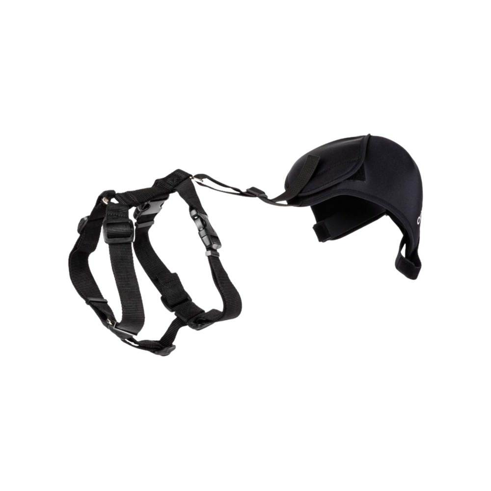 Hip Brace for Dogs with Dysplasia & Arthritis usage view – Muscle Protection