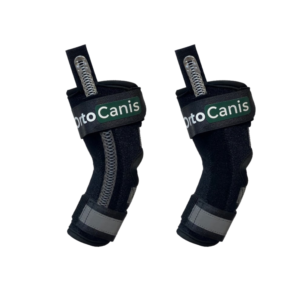 Hock Splint Brace for Dogs - Tarsus Support & Stabiliser – Joint Stabilisation & Post-Surgery Support