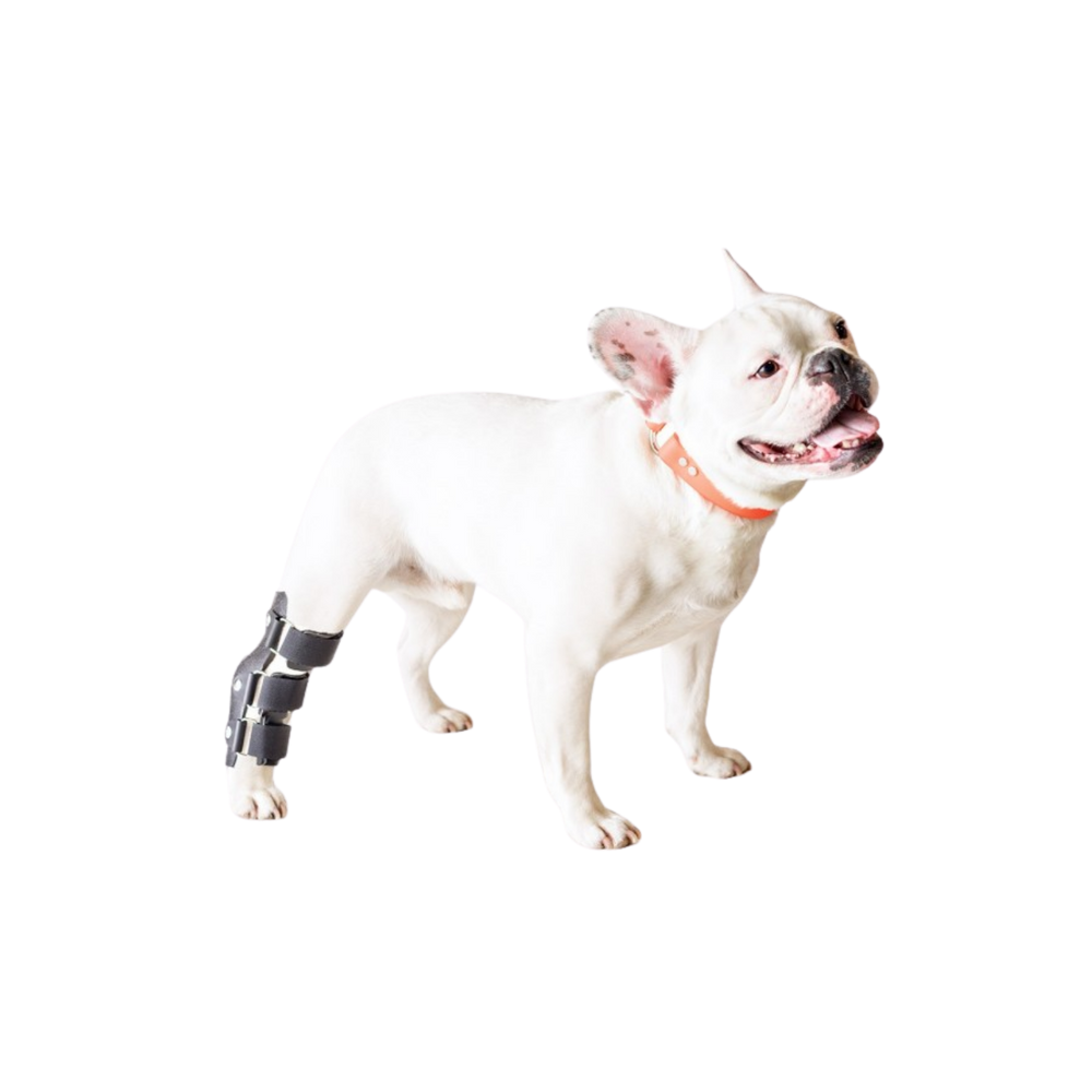 Hock Splint for Dogs - Tarsal Joint Immobiliser packaging – Skin Friendly