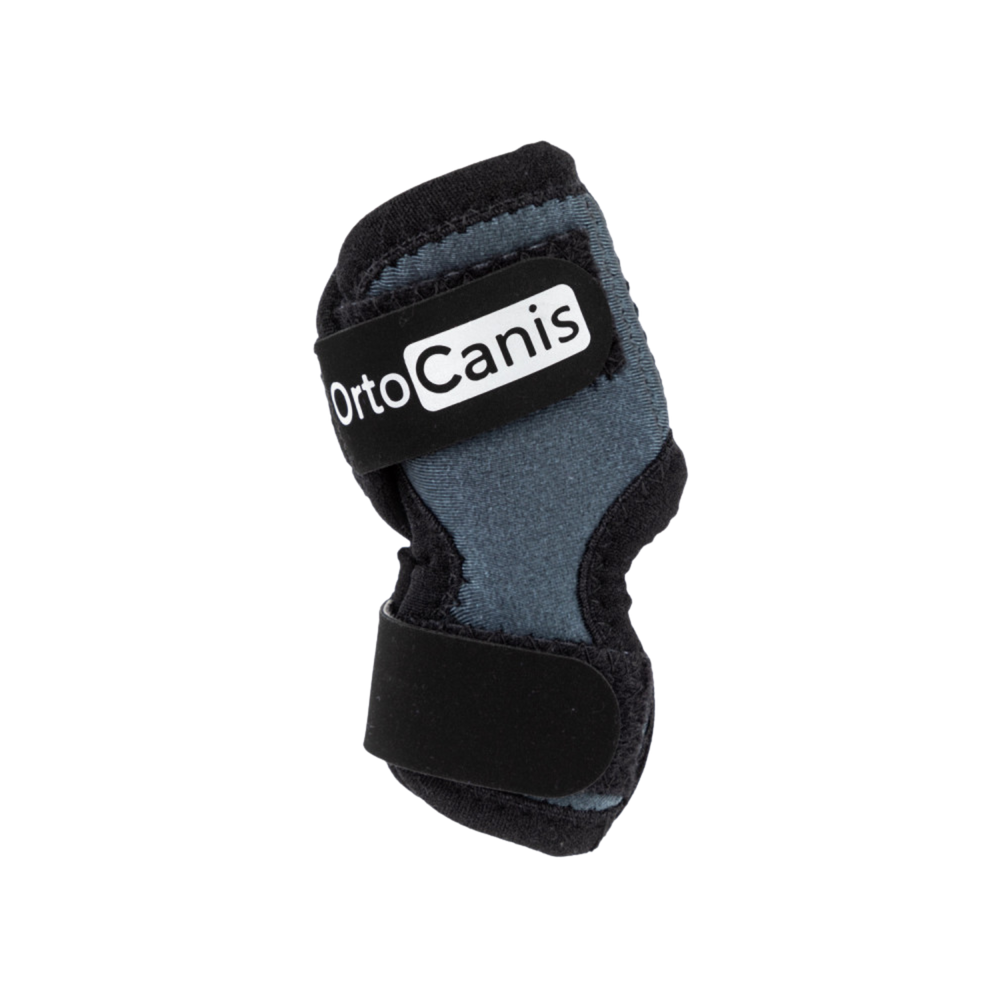 Hock Wrap Brace for Dogs - Tarsal Joint Support – Joint Support & Post-Surgery
