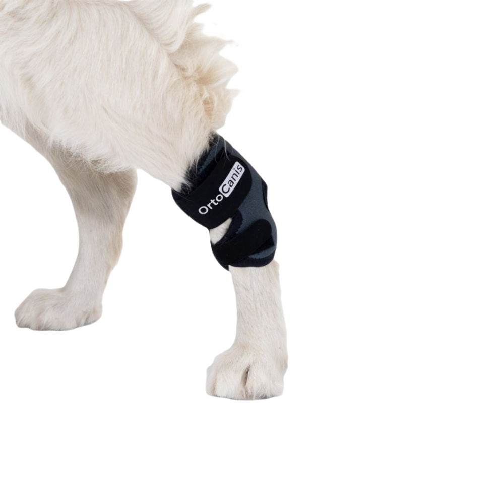 Hock Wrap Brace for Dogs - Tarsal Joint Support packaging – Post-Surgery