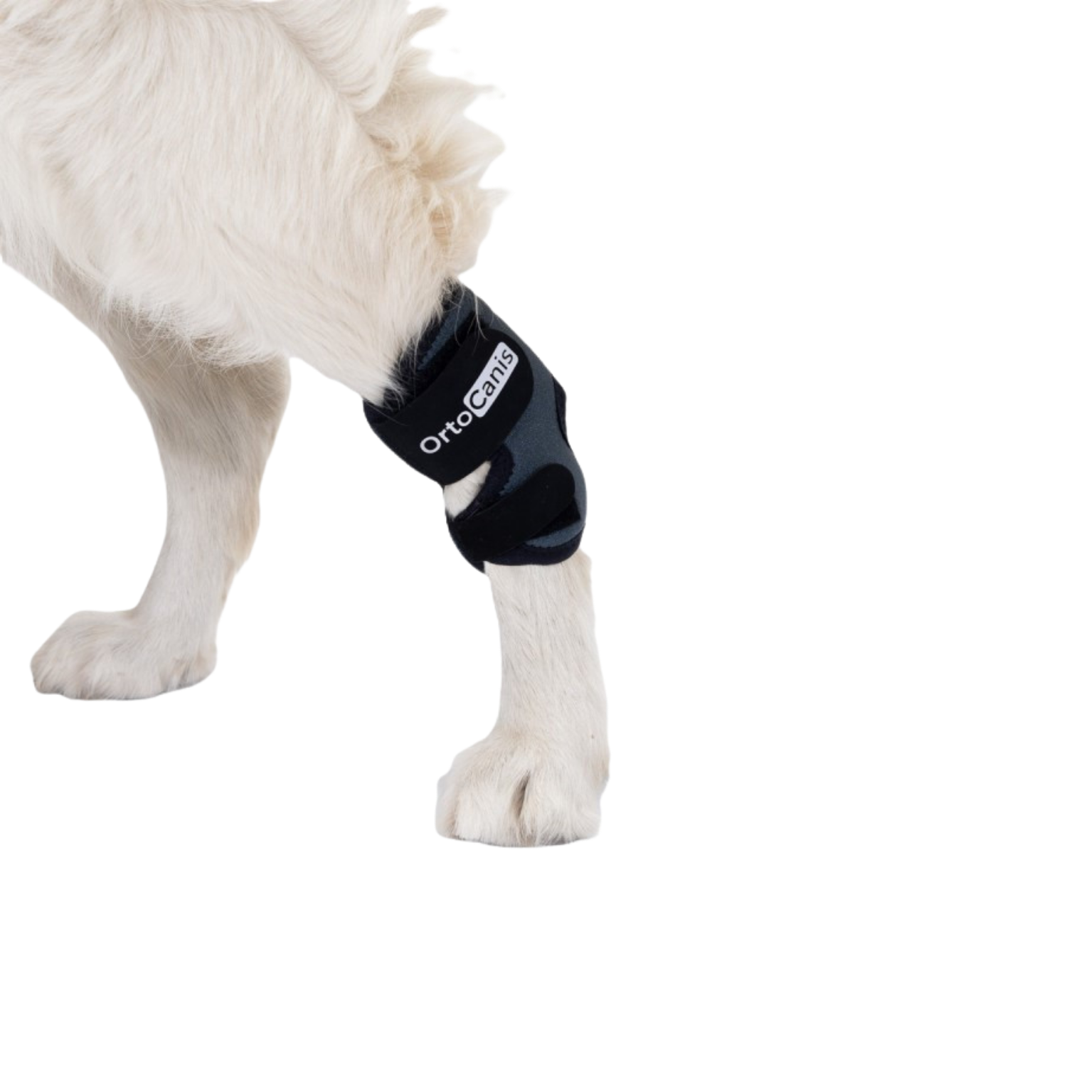 Hock Wrap Brace for Dogs - Tarsal Joint Support packaging – Post-Surgery