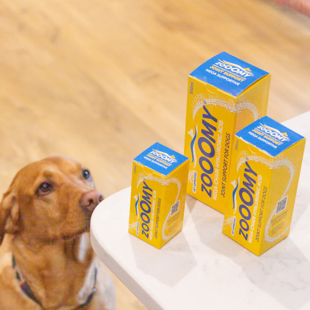 Zoomy Hyaluronic Acid Liquid Joint Supplement for Dogs packaging – Improved Mobility