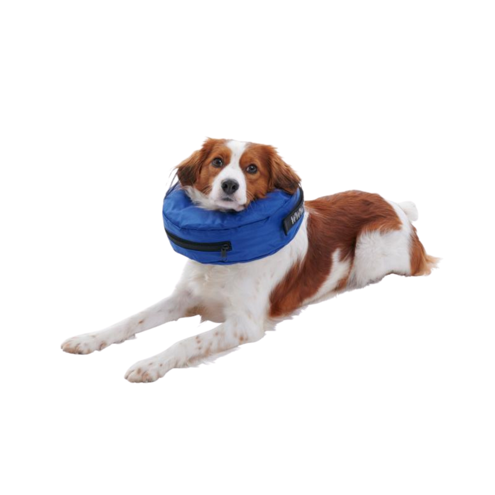 Inflatable Recovery Collar for Dogs – Post-Surgery Care & Wound Protection