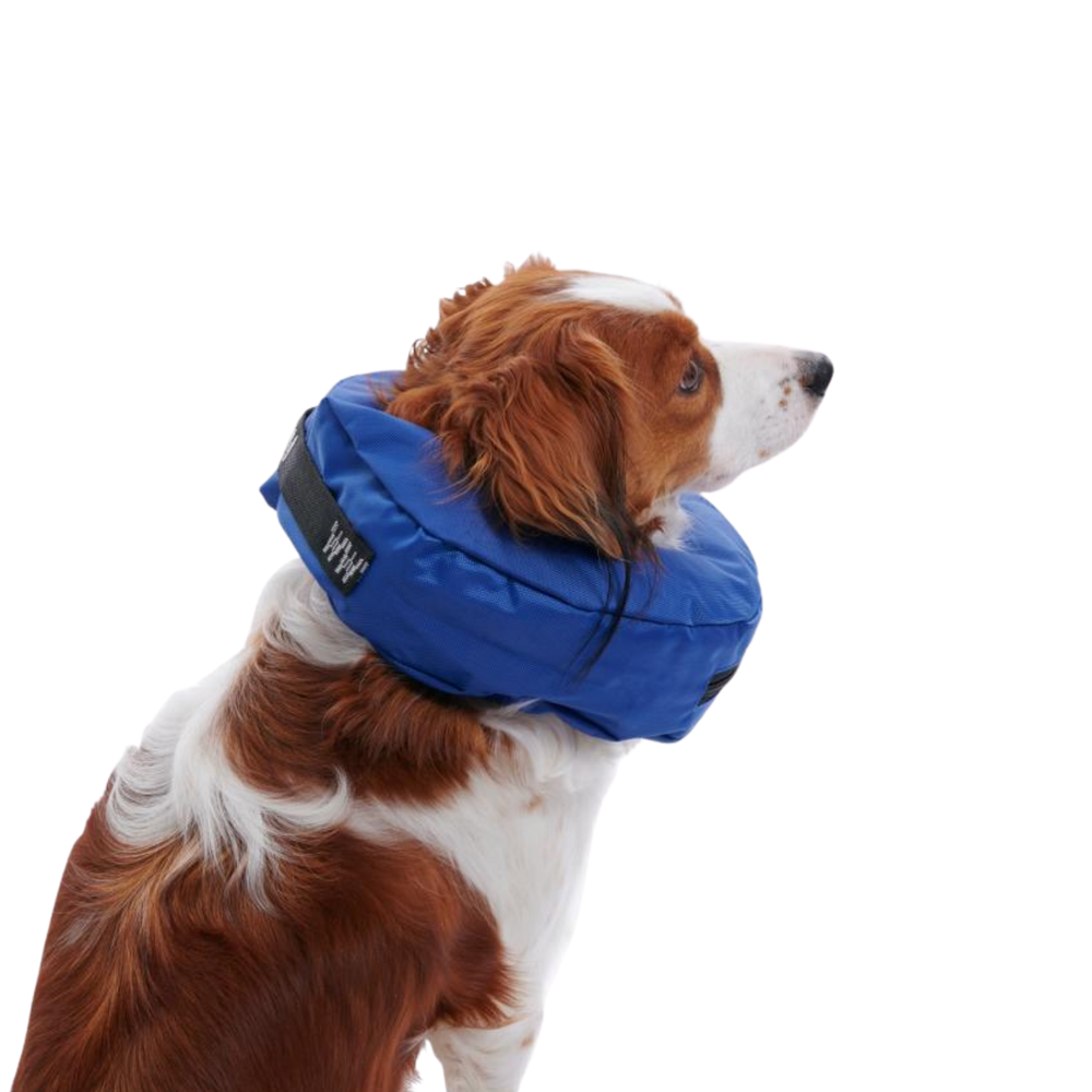 Inflatable Recovery Collar for Dogs usage view – Durable Nylon