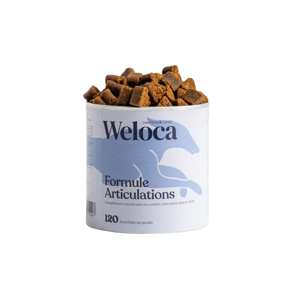 Joint Care Chews for Dogs - Chews with Glucosamine & Turmeric – Joint Support & Reduces Stiffness