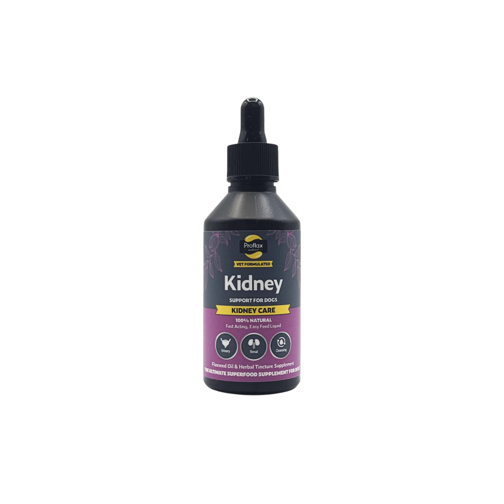 Kidney & Urinary Support Supplement for Dogs – Kidney Support & Urinary Health