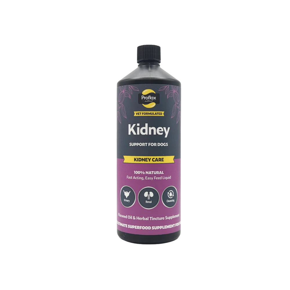 Kidney & Urinary Support Supplement for Dogs usage view – Natural Herbs