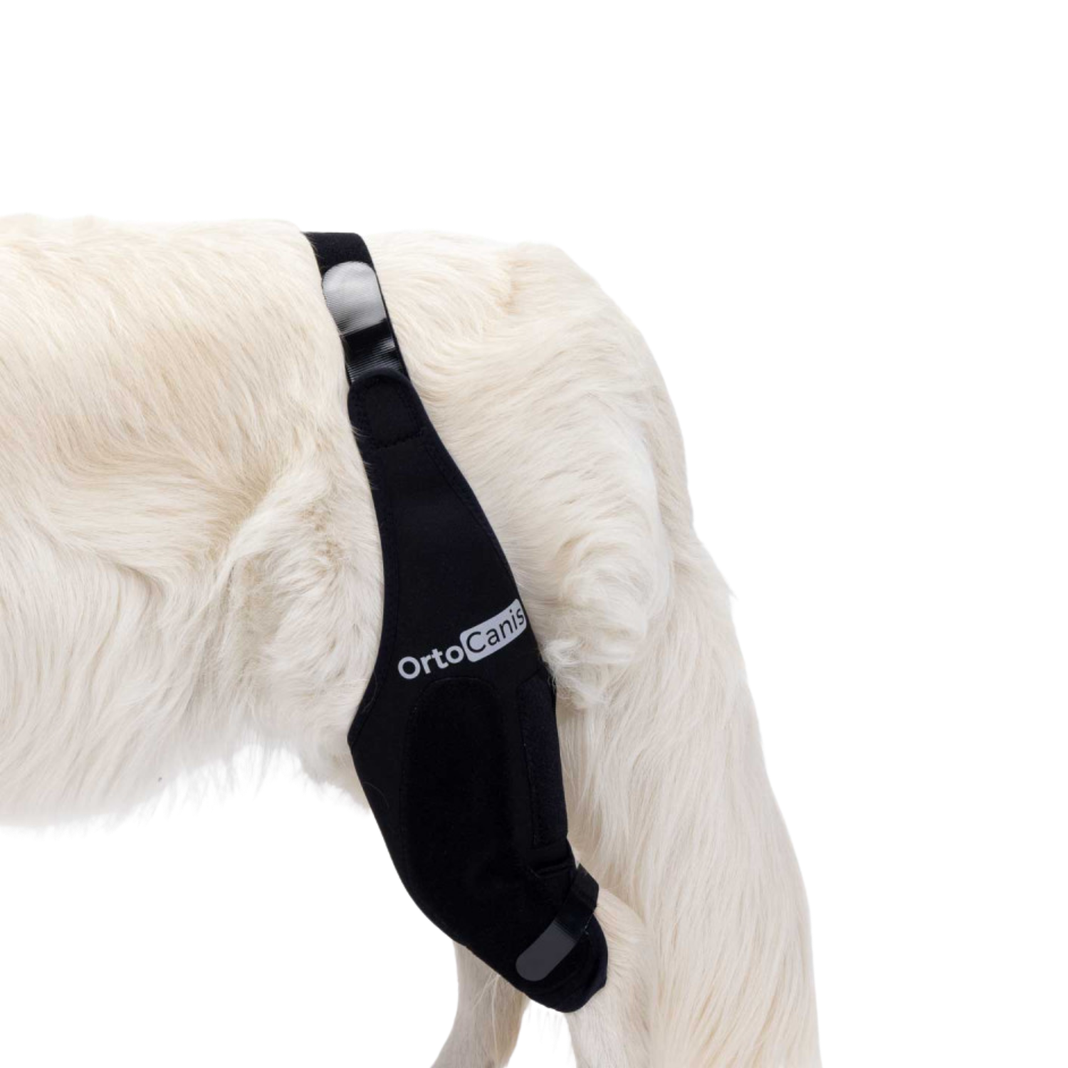 Knee Immobiliser for Dogs | ACL, Patella Luxation Support product detail – Post-Surgery Aid