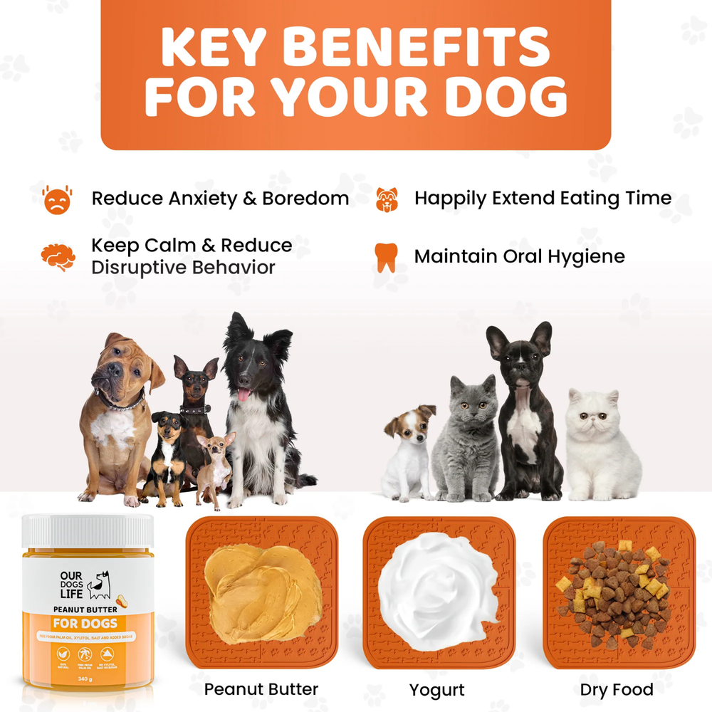 Lick Mat for Dogs with Spreader & Brush product detail – Slow Feeding
