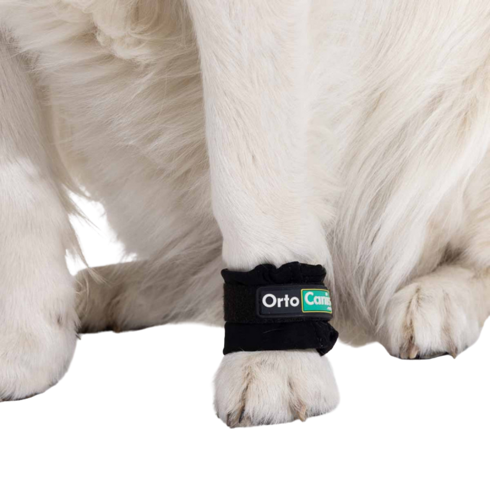 Limb Weights for Muscle Strengthening & Rehabilitation in Dogs packaging – Post-Surgery Recovery