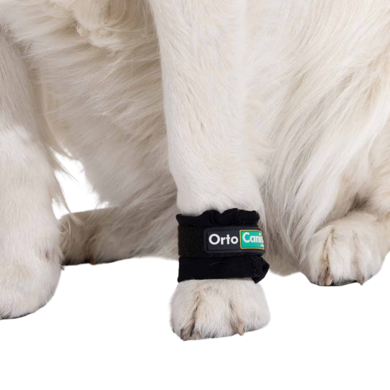 Limb Weights for Muscle Strengthening & Rehabilitation in Dogs packaging – Post-Surgery Recovery