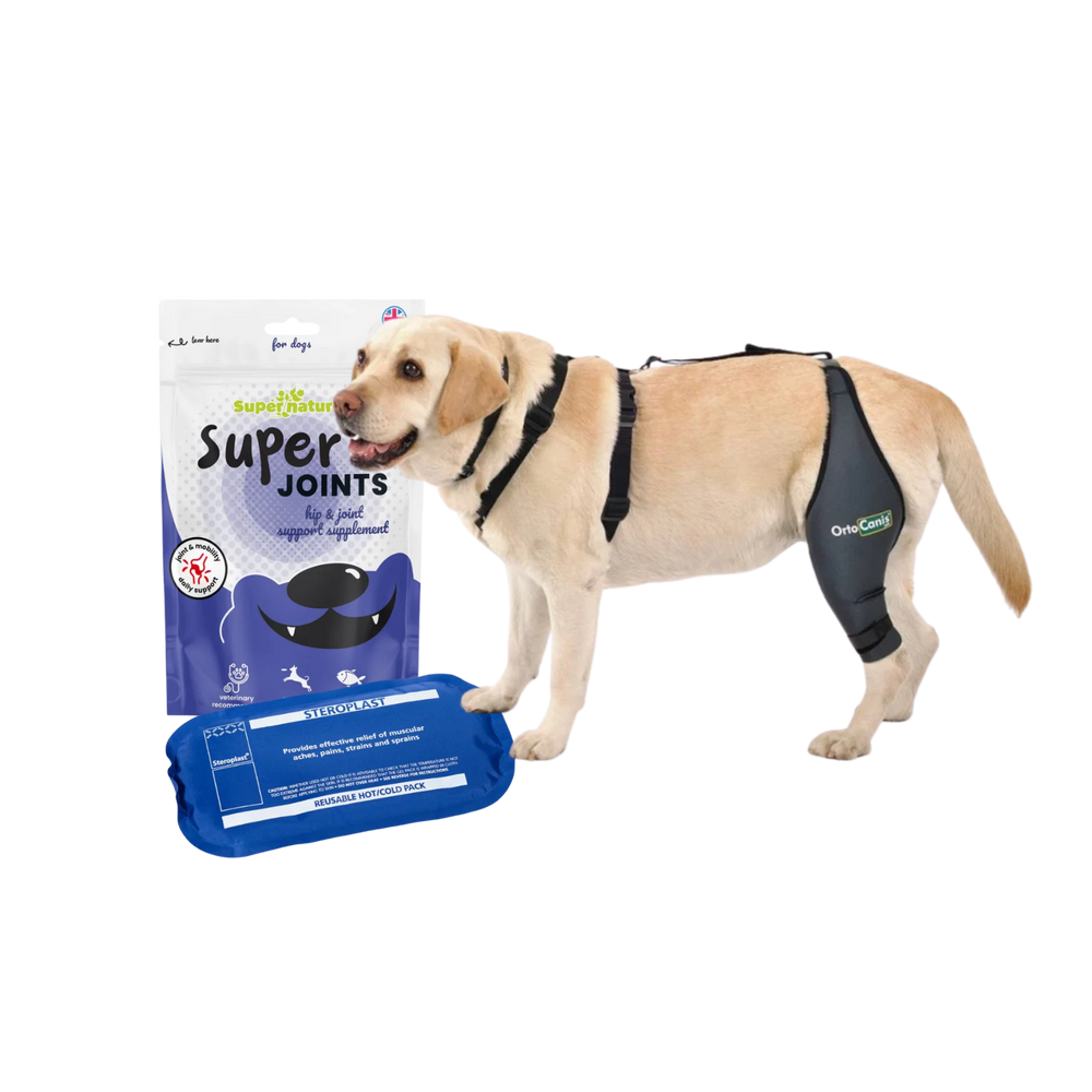Luxating Patella Bundle – Supports Kneecap Alignment & Eases Flare-Ups