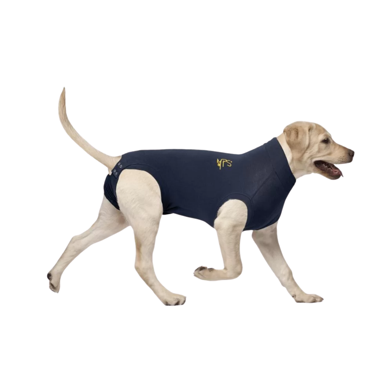Medical Pet Shirt for Dogs - Post-Op Recovery Shirt – Cone Alternative & Post-Op Care