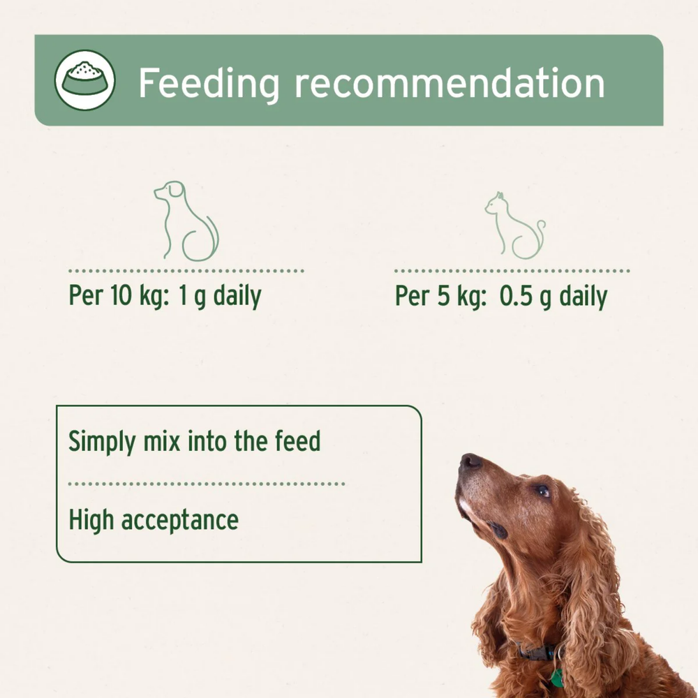 MSM Powder for Dogs & Cats - Joint & Coat Support 300g label detail – Allergy Relief