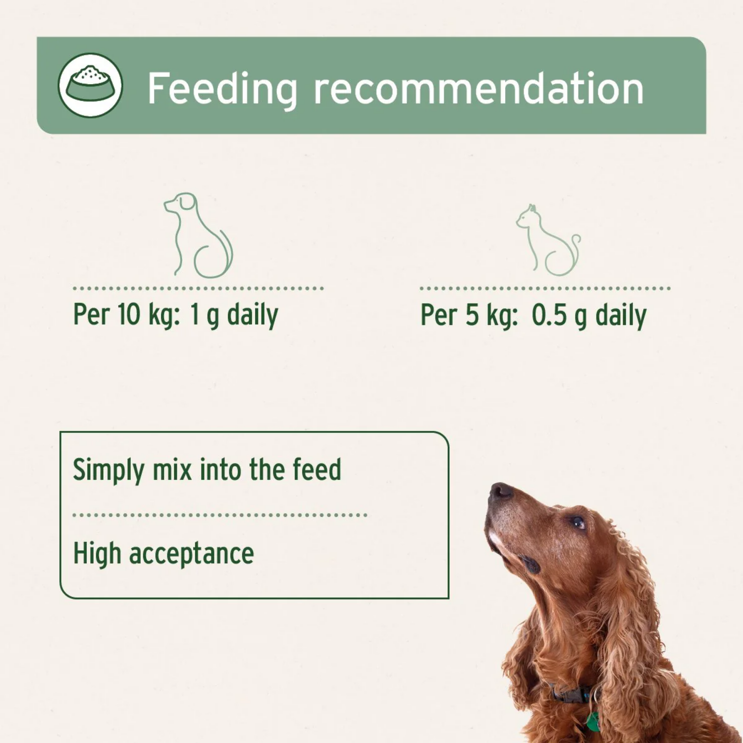 MSM Powder for Dogs & Cats - Joint & Coat Support 300g label detail – Allergy Relief