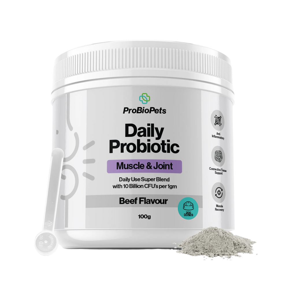 Muscle & Joint Probiotic Powder for Dogs & Cats – Joint Mobility & Muscle Recovery